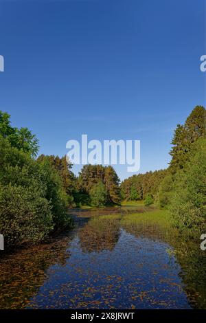 Reflexionen auf der Wasseroberfläche von Loch Auchnacree hoch oben in den Angus Glens an einem hellen Sommermorgen unter blauem, klaren Himmel. Stockfoto