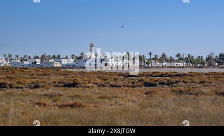 Die Stadt Poblenou del Delta vom Casa de Fusta (Holzhaus) im Ebro Delta (Tarragona, Katalonien, Spanien) aus gesehen Stockfoto