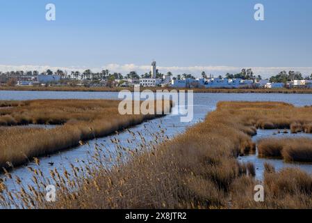 Dorf Poblenou del Delta vom Aussichtspunkt Embut gesehen, vor der Lagune L'Encanyissada, im Ebro Delta (Tarragona, Katalonien, Spanien) Stockfoto