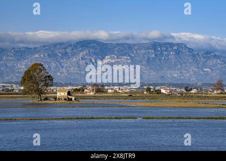 Wasserkanäle neben den Feuchtgebieten L'Encanyissada und El Clot vom Aussichtspunkt L'Embut aus gesehen (Montsià, Tarragona, Katalonien, Spanien) Stockfoto