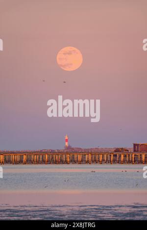 Sonnenuntergang und Mondaufgang in der Fangar-Bucht und ihrem Leuchtturm im Ebro-Delta (Tarragona, Katalonien, Spanien) ESP: Atardecer y salida de Luna en la Bahía Stockfoto