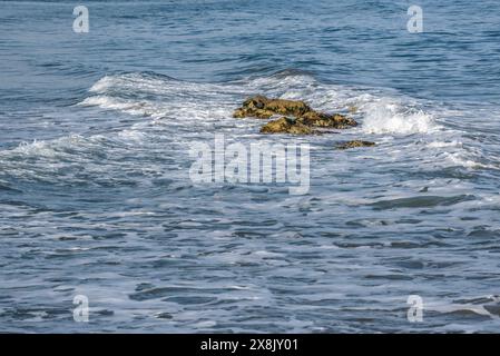 Strand Fangar, am Anfang von Punta del Fangar, im Ebro-Delta (Tarragona, Katalonien, Spanien) ESP Playa del Fangar, en el Delta del Ebro, España Stockfoto