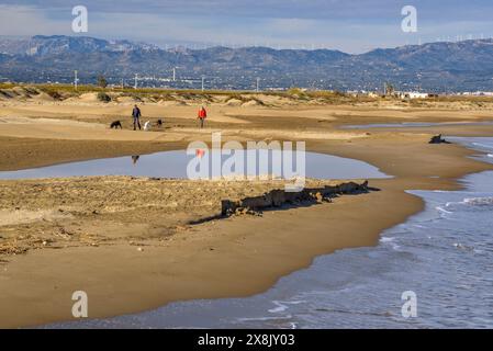 Strand Fangar, am Anfang von Punta del Fangar, im Ebro-Delta (Tarragona, Katalonien, Spanien) ESP Playa del Fangar, en el Delta del Ebro, España Stockfoto