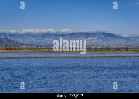 Überflutete Reisfelder neben dem Dorf Poblenou del Delta im Ebro Delta (Montsià, Tarragona, Katalonien, Spanien) Stockfoto