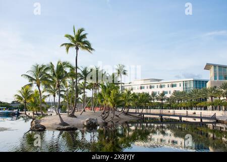 Camana Bay, Grand Cayman, Cayman Islands - 15. September 2020: Am frühen Morgen Aufnahme des Handelsviertels auf der Insel Stockfoto