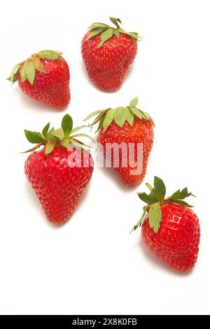 Reife, hausgemachte Erdbeeren sind hellrot mit grünen Blättern auf weißem Hintergrund. Erdbeeren sind frisch und haben sichtbare Samen auf der Oberfläche. Stockfoto