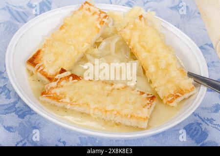 Badische Küche, Süddeutsche Küche, badische Zwiebelsuppe, herzhaft, typisch badische Küche, Suppenteller, Löffel, Sahne, Sahne, Brotstücke mit Käse Stockfoto