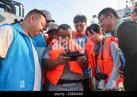 (240526) -- SANYA, 26. Mai 2024 (Xinhua) -- Mitarbeiter betrachten den Kurzflossen-Pilotwal Haitang anhand von Bildern, die von einer Drohne auf einem Forschungsschiff aufgenommen wurden, 26. Mai 2024. Am 3. Januar dieses Jahres wurde ein verletzter männlicher Kurzflossen-Grindwal in der Haitang Bay von Sanya gefunden. Es wurde zur Behandlung an das Sanya Haichang Animal Conservation Center geschickt und erhielt den Namen „Haitang“. Dank der akribischen Betreuung durch professionelle Züchter und Freiwillige erholt sich „Haitang“ gut und ist entschlossen, nach gründlicher Untersuchung und Beurteilung durch wieder ins Meer zurückgelassen zu werden Stockfoto