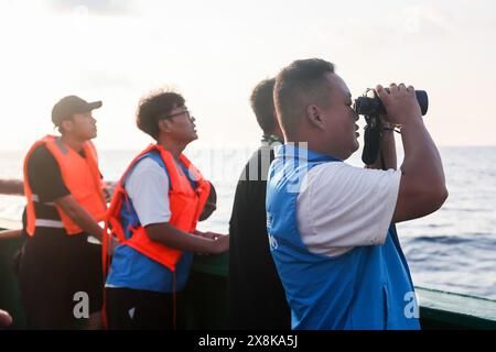 (240526) -- SANYA, 26. Mai 2024 (Xinhua) -- Mitarbeiter sehen den Kurzflossen-Pilotwal „Haitang“ auf einem Forschungsschiff, 26. Mai 2024. Am 3. Januar dieses Jahres wurde ein verletzter männlicher Kurzflossen-Grindwal in der Haitang Bay von Sanya gefunden. Es wurde zur Behandlung an das Sanya Haichang Animal Conservation Center geschickt und erhielt den Namen „Haitang“. Dank der akribischen Betreuung durch professionelle Züchter und Freiwillige erholt sich „Haitang“ gut und ist entschlossen, nach gründlicher Prüfung und Bewertung durch Experten wieder ins Meer zu entlassen. (Xinhua/Zhang Liyu Stockfoto