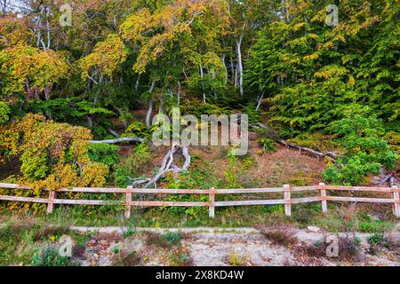 Rand des Waldhügels mit Wanderweg, Herbstlandschaft der Ostseeküste in Gdynia, Nordpolen. Stockfoto