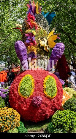 Farbenfrohe Blumenausstellung der hungrigen Raupe in Chelsea in Bloom 2024 Stockfoto