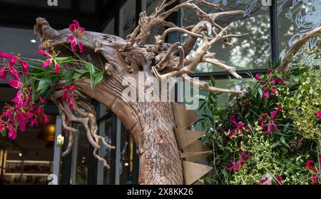 Schöne verdrehte Baumstammskulptur eines Drachen mit rosa Blumen in der Öffnung für Feuer in Chelsea in Bloom 2024 vor einem Ladeneingang. Stockfoto