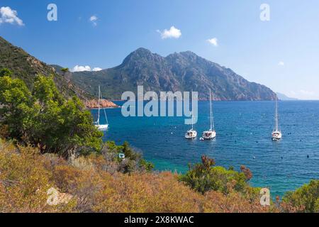 Girolata, Corse-du-Sud, Korsika, Frankreich. Blick über den zum UNESCO-Weltkulturerbe gehörenden Golf von Girolata nach Capo Senino, Yachten vor der Küste vor Anker. Stockfoto