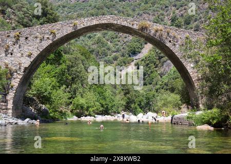 OTA, Corse-du-Sud, Korsika, Frankreich. Besucher, die im Fluss Porto unter der historischen Pont de Pianella, einer genuesischen Steinbrücke aus dem 15. Jahrhundert, baden. Stockfoto