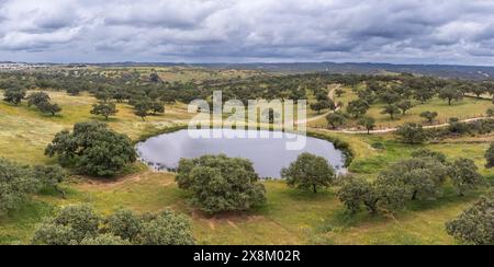 Typische Weide, in der Nähe von Valverde del Camino, Campiña Andévalo Commonwealth, Huelva, Andalusien, Spanien Stockfoto