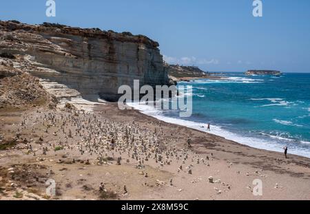 White River Beach, Avakas Gorge, Akamas Halbinsel, Republik Zypern Stockfoto