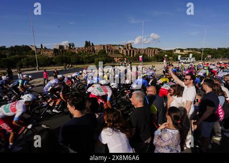 Roma, Italien. Mai 2024. Während der 21. Etappe des Giro d’Italia von Rom nach Rom, Italien. Sonntag, 26. Mai 2024 Sport Cycling (Foto: Fabio Ferrari/Lapresse) Credit: LaPresse/Alamy Live News Stockfoto