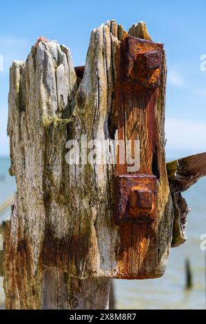 Abgenutzter, groyne Pfostenkopf mit stark verwittertem Holz, rostigen Bolzen und Rostflecken im Rye Harbour Nature Reserve an einem hellen, sonnigen Tag. Stockfoto