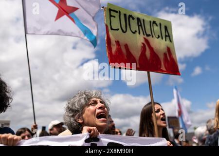 Galicien, Spanien. 26. Mai 2024, Palas de Rey, Lugo, EspaÃ±a: Demonstration gegen die Zellstofffabrik Altri in Palas de Rey, Provinz Lugo in Galicien, Spanien (Foto: © Elena Fernandez/ZUMA Press Wire) NUR REDAKTIONELLE VERWENDUNG! Nicht für kommerzielle ZWECKE! Quelle: ZUMA Press, Inc./Alamy Live News Stockfoto