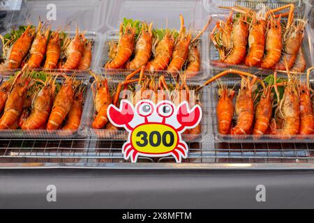 Große gekochte Garnelen in Containern an einem Nachtmarktstand in Thailand. Street Food. Stockfoto