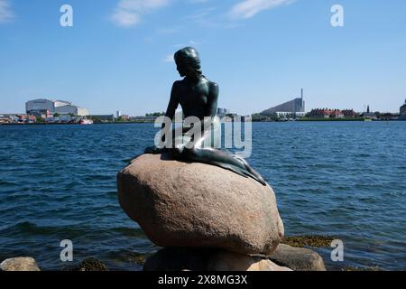 KOPENHAGEN, DÄNEMARK – 21. MAI 2024: Kleine Meerjungfrau, Märchendenkmal in Kopenhagen, berühmte Touristenattraktion, vor blauem Himmel Stockfoto