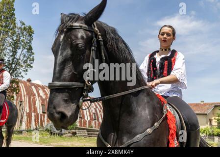 Osijek, Kroatien. Mai 2024. Frau sitzt auf einem Pferderücken und nimmt an der Prozession während der Veranstaltung „Straßen unseres Dorfes“ Teil, die vom Pferdezuchtverband „Baranjac“ am 26. Mai 2026 im Dorf Jagodnjak in der Nähe von Osijek, Kroatien, organisiert wurde. Foto: Davor Javorovic/PIXSELL Credit: Pixsell/Alamy Live News Stockfoto