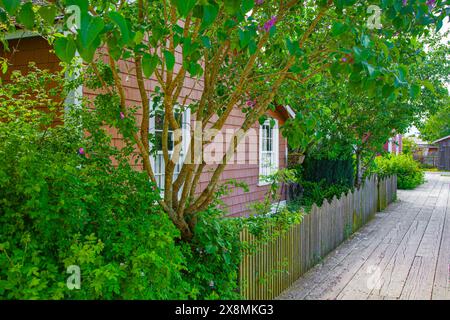 Country Cottage und Boardwalk in der historischen Britannia Shipyard in Steveston British Columbia Kanada Stockfoto