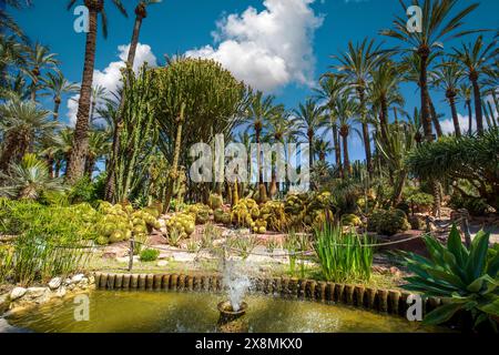 Wasserteich und Palmen im Huerto del Cura in Elche, Alicante, Valencianische Gemeinde, Spanien, bei hellem Tageslicht Stockfoto