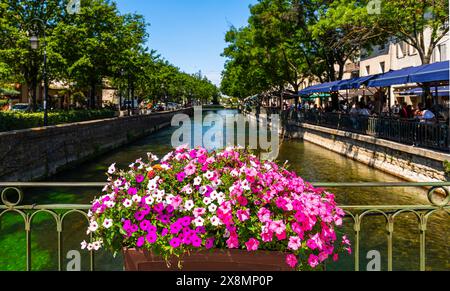 Der Fluss Sorgue bei Isle sur la Sorgue in Vaucluse in der Provence, Frankreich Stockfoto