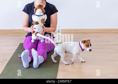 Glückliches Mädchen beim Yoga mit kleinen Jack Russell Terrier Welpen. Gesunder Lebensstil und Meditation Stockfoto