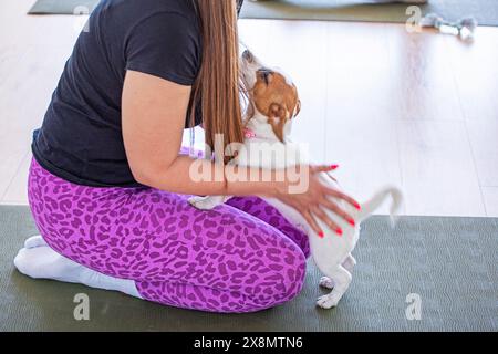 Glückliches Mädchen beim Yoga mit dem kleinen Jack Russell Terrier Welpen. Gesunder Lebensstil und Meditation Stockfoto