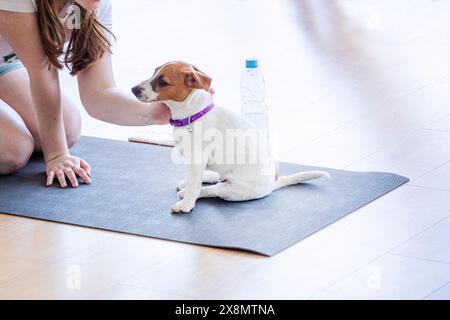 Glückliches Mädchen beim Yoga mit dem kleinen Jack Russell Terrier Welpen. Gesunder Lebensstil und Meditation Stockfoto