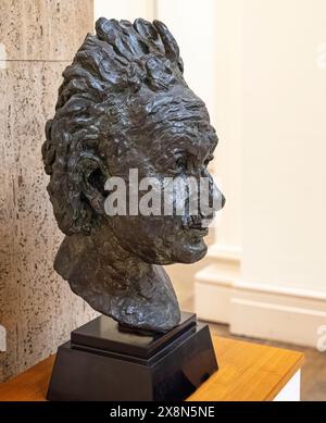 Bronzeskulptur des Kopfes von Albert Einstein, ausgestellt am 22. Mai 2024 im Walker Museum in Liverpool, Merseyside, Großbritannien Stockfoto