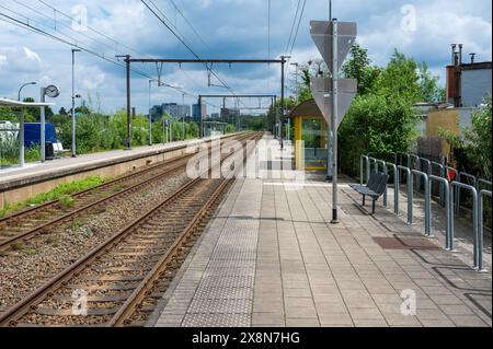 Groot-Bijgaarden, Flämisch-Brabant, Belgien, 23. Mai 2024 - Doppelgleise und Bahnsteig des örtlichen Bahnhofs Stockfoto