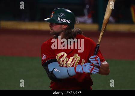 Boca Del Rio, Veracruz, Mexiko. Mai 2024. Kyle Martin #13 des South Zone Teams beim Schläger beim All-Star Game der Mexican Baseball League (LMB) 2024 zwischen North Zone Team und South Zone Team im Beto Avila Stadium in Veracruz. North Zone besiegt South Zone 5-2. (Kreditbild: © Carlos Santiago/eyepix via ZUMA Press Wire) NUR REDAKTIONELLE VERWENDUNG! Nicht für kommerzielle ZWECKE! Stockfoto