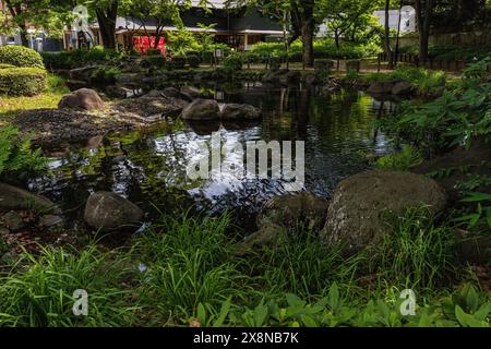 Der Zojoji-Tempel ist einer der wichtigsten Tempel Tokios. Im südwestlichen Teil des Tempelgeländes, heute Teil des Shiba Parks, ist der schlendernde Teichgarten erhalten Stockfoto