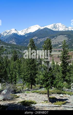 Flache Wiese umgeben von bewaldeten Hängen, schneebedeckte Berge im Rocky Mountain National Park Stockfoto