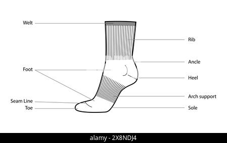 Diagramme von Sportsockenteilen mit Textnamen. Strumpfwaren Mode Accessoire Kleidung technische Illustration Strumpf. Vektor-Seitenansicht für Damen-Stil, flache Vorlage CAD-Modell Skizzenkontur isoliert Stock Vektor