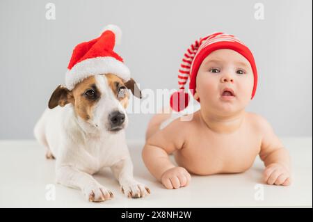 Süßer kleiner Junge und Jack Russell Terrierhund in santa-Hüten auf weißem Hintergrund. Stockfoto