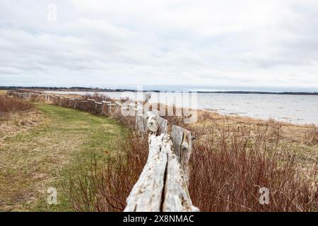 Wanderwege im Greenwich National Park in St. Peters Bay, Prince Edward Island, Kanada Stockfoto