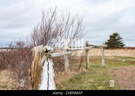 Wanderwege im Greenwich National Park in St. Peters Bay, Prince Edward Island, Kanada Stockfoto