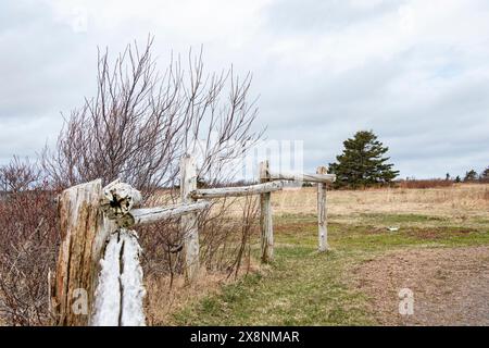 Wanderwege im Greenwich National Park in St. Peters Bay, Prince Edward Island, Kanada Stockfoto