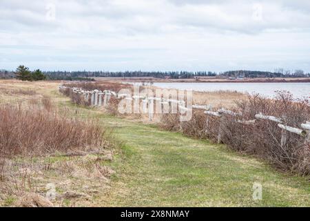 Wanderwege im Greenwich National Park in St. Peters Bay, Prince Edward Island, Kanada Stockfoto