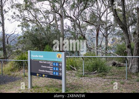 Chandler Walk zu den Chandler Falls neben den Wollombi Falls im Oxley Wild Rivers National Park, New South Wales, Australien Stockfoto