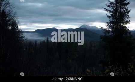 Grüne Bäume im Wald mit Nebel und Bergen. Clip. Herbstliche kalte Landschaft mit bewaldetem Tal. Stockfoto