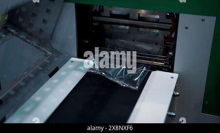 Verpackungslinie für süße Gebäckstücke. Medien. Frische Waffeln werden auf der Förderlinie in Zellophanverpackung verpackt. Stockfoto