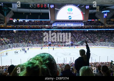 St. Paul, Minnesota, USA. Mai 2024. Eine allgemeine Ansicht während des vierten Spiels des ersten PWHL Finals zwischen Minnesota und Boston im Xcel Energy Center in St. Paul. Boston gewann in der zweiten Überstunde mit 1:0. (Kreditbild: © Steven Garcia/ZUMA Press Wire) NUR REDAKTIONELLE VERWENDUNG! Nicht für kommerzielle ZWECKE! Stockfoto