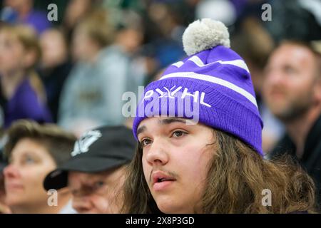 St. Paul, Minnesota, USA. Mai 2024. Ein Fan sieht sich während des vierten Spiels des ersten PWHL Finals zwischen Minnesota und Boston im Xcel Energy Center in St. Paul an. Boston gewann in der zweiten Überstunde mit 1:0. (Kreditbild: © Steven Garcia/ZUMA Press Wire) NUR REDAKTIONELLE VERWENDUNG! Nicht für kommerzielle ZWECKE! Stockfoto