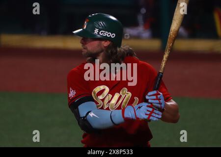 Boca Del Rio, Mexiko. Mai 2024. Kyle Martin #13 des South Zone Teams beim Schläger beim All-Star Game der Mexican Baseball League (LMB) 2024 zwischen North Zone Team und South Zone Team im Beto Avila Stadium in Veracruz. North Zone besiegt South Zone 5-2. Am 25. Mai 2024 in Boca del Rio, Mexiko. (Foto: Carlos Santiago/Eyepix Group/SIPA USA) Credit: SIPA USA/Alamy Live News Stockfoto