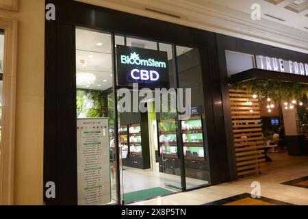 Las Vegas, Nevada, USA 15. Mai 2024 Bloomstem CBD at Forums Shops at CaesarÕs Palace Hotel & Casino am Las Vegas Blvd, Las Vegas Strip am 15. Mai 2024 in Las Vegas, Nevada, USA. Foto: Barry King/Alamy Stock Photo Stockfoto